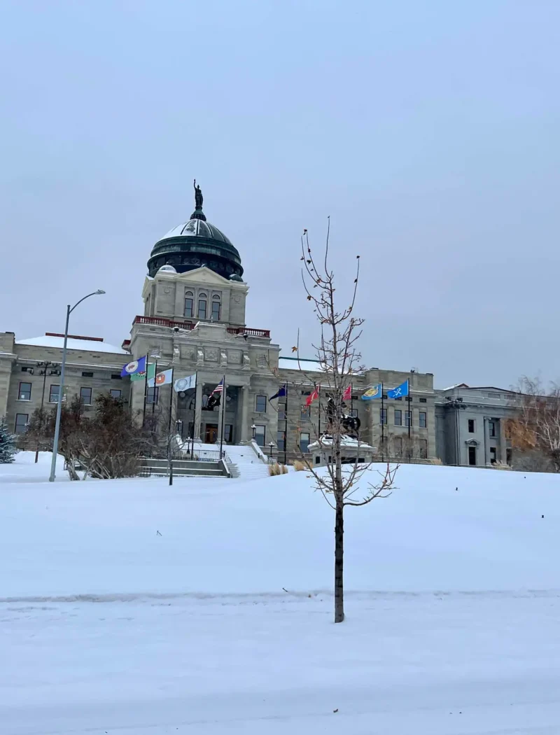 Secretary Christi Jacobsen thanks election workers and voters, congratulates candidates as polls close 1 A domed government building stands behind a snow-covered lawn with several flags in front. A single small tree is in the foreground under a cloudy winter sky as voters make their way inside before the polls close.