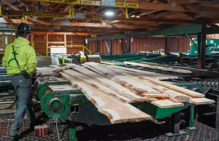 A worker is standing in front of a wood cutting machine.