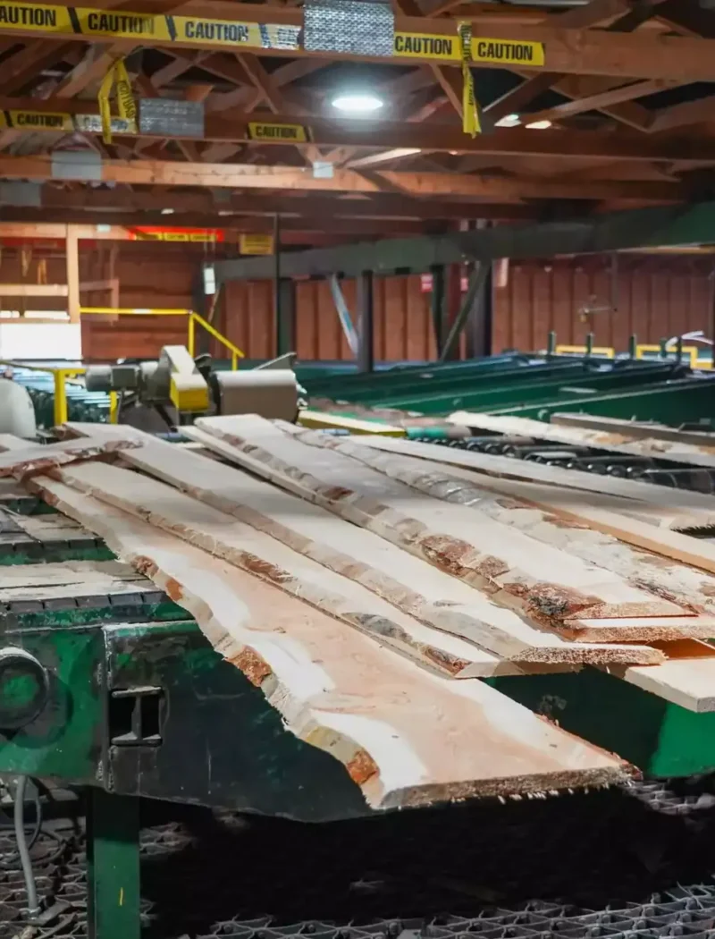A worker is standing in front of a wood cutting machine.
