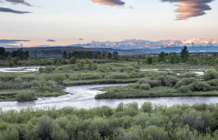 A winding river flows through lush green vegetation at Missouri Headwaters State Park, with distant mountains under a pastel-colored sunset sky—an idyllic landscape preserved through thoughtful acquisition. Clouds are scattered above the scenic view.