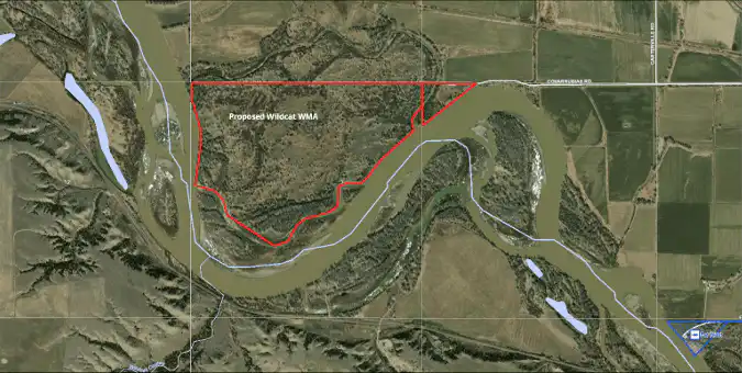 A satellite map shows a river winding through farmland and wooded areas in southeast Montana. A red outline marks the Proposed Wildcat WMA, indicating public access near the riverbank, adjacent to fields and intersected by a road at the top right.