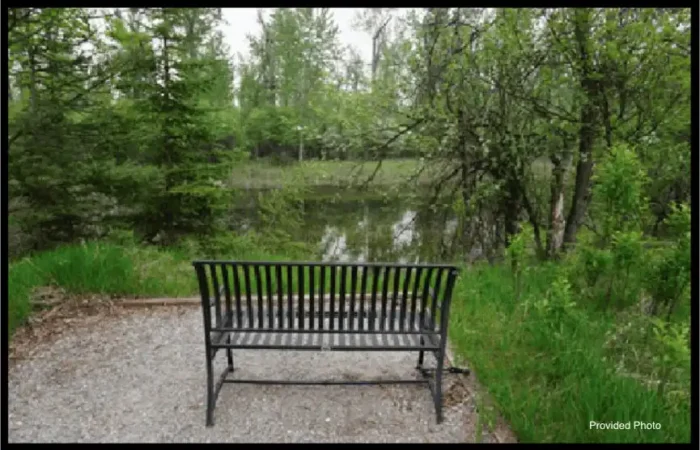 A black metal bench sits on gravel, facing a small pond surrounded by lush green trees and grass in a peaceful outdoor setting, inviting visitors to relax and appreciate the beauty of public land.
