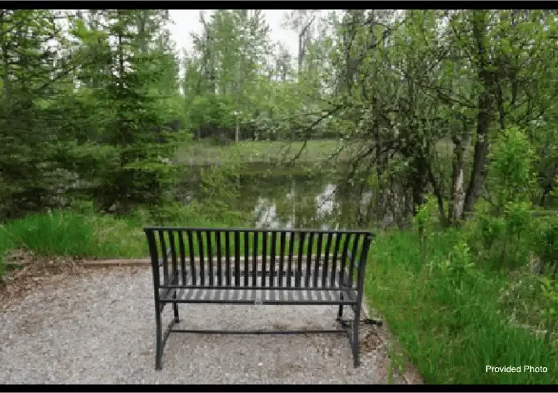 A black metal bench sits on gravel, facing a small pond surrounded by lush green trees and grass in a peaceful outdoor setting, inviting visitors to relax and appreciate the beauty of public land.