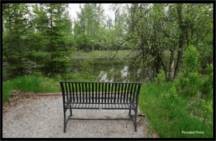 A black metal bench sits on gravel, facing a small pond surrounded by lush green trees and grass in a peaceful outdoor setting, inviting visitors to relax and appreciate the beauty of public land.